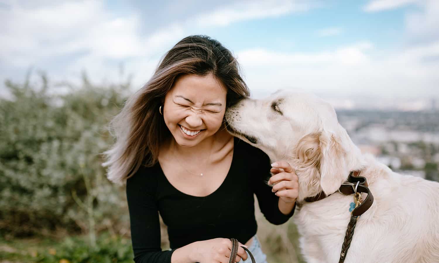 A dog kissing a woman